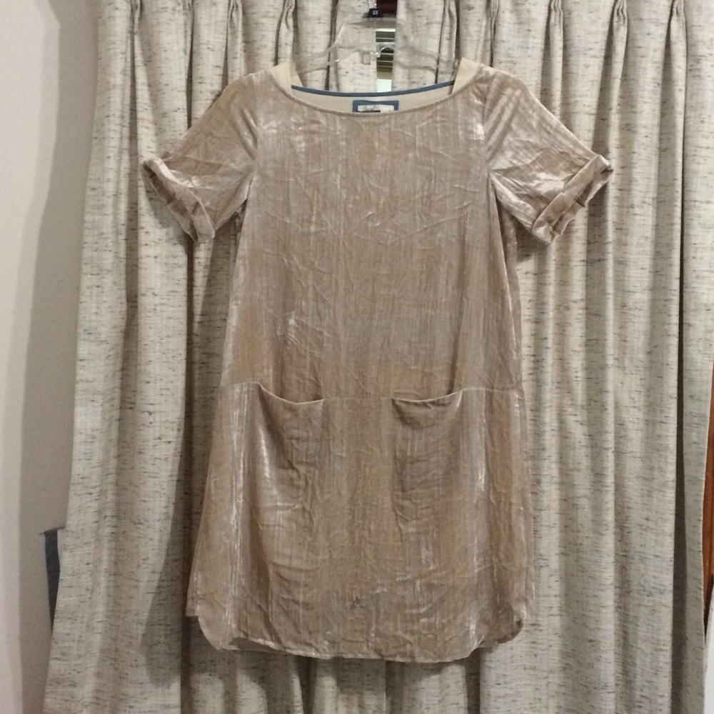 Floreat Anthropologie Crushed Velvet Shift Dress